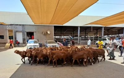 Kapan Waktu Membayar Dam?