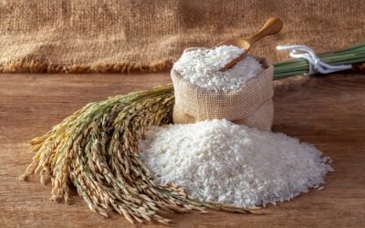 Orang yang Tidak Mampu Wajibkah Berzakat Fitrah?