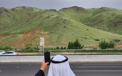 Heboh Pegunungan Arab Saudi Tiba-Tiba Menghijau