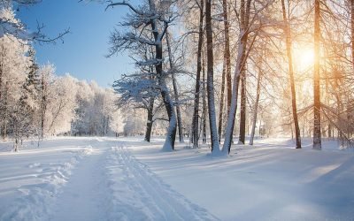 Musim Dingin Ibarat Musim Semi bagi Orang Beriman